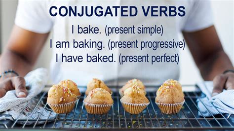 conjugated verb yourdictionary