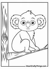 Koalas Koala Iheartcraftythings Curiously Adorable sketch template