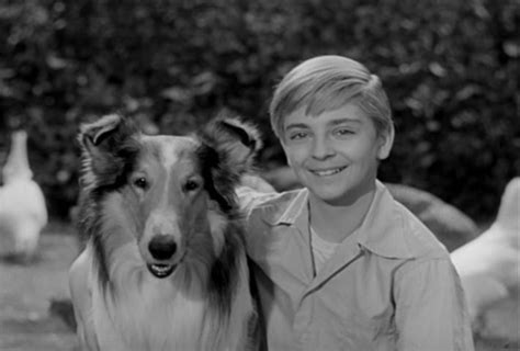 Lassie 1954 1974 Cars Bikes Trucks And Other Vehicles
