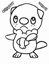 Oshawott Pokemon Pages Coloring Categories sketch template