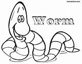 Worm Coloring Pages Sheet Funny Colorings Coloringway sketch template