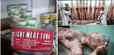 [spam] china selling human meat in canned food products