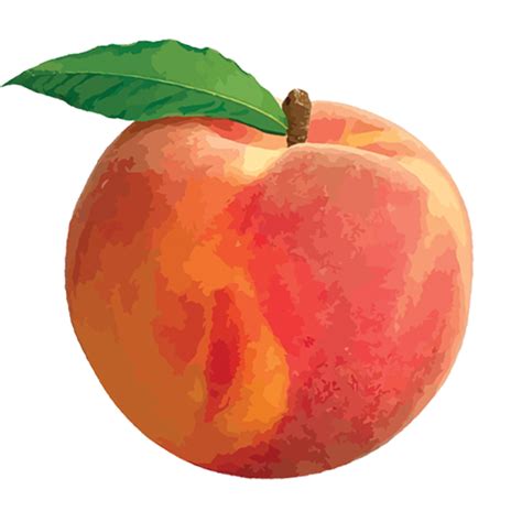 peach png png