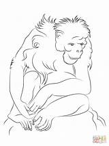 Coloring Pages Chimpanzee Sitting Drawing Printable sketch template