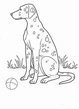 Dog Coloring Pages Dogs Spotted Printable Foto Colorkid Animals sketch template