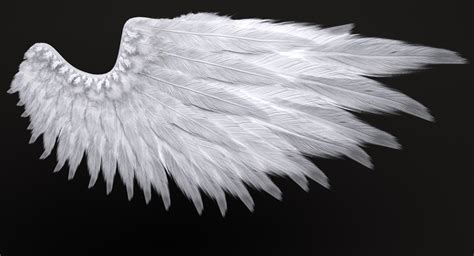 realistic angel wings rigged  turbosquid