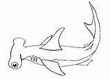 Tiburon Rechin Martillo Colorat Pez Desene Planse Imagui Imagenes Hammerhead Marinos Tiburón Imagini Pesti Rechinul Imaginea Animals sketch template