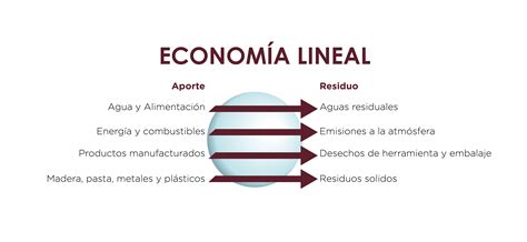 principios de economía circular observatorio de desarrollo económico