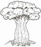 Baobab Albero Kenya Baoba Arbre Savane Arvore Colorear Madagascar Afrique Desenho Savanna Afrikanische Africaine Rainforest Twirls Whirls Palmares Arvores Zumbi sketch template