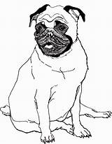 Pug Coloring Pages Printable Dog Cute Baby Kids Pugs Puppy Sheets Cartoon Color Print Bestcoloringpagesforkids Animal Girls Popular Drawing Big sketch template
