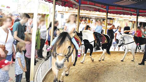 tierfreunde kritisieren ponyreiten bei festen  luebbecke und espelkamp