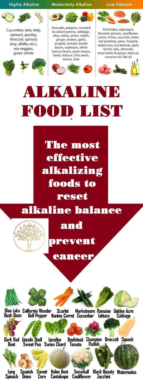 alkaline food list the most effective alkalizing foods to reset
