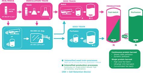 seed train intensification  upstream processes milliporesigma