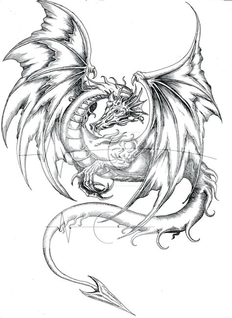 realistic dragons coloring pages png  file