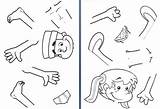 Coloring Body Parts Pages Animal Popular sketch template