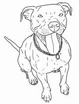 Pitbull Drawing Line Drawings Paintingvalley Collection sketch template