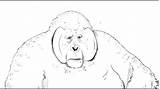 Jungle Louie King Book Draw Gorilla sketch template