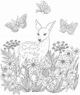 Coloring Pages Deer Meadow Doe Kids Drawing Color Butterfly Doman Annie Unknown Source Line sketch template