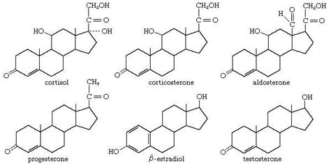 steroid definition structure types britannicacom