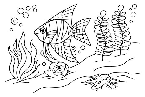 angelfish  print coloring page  printable coloring pages