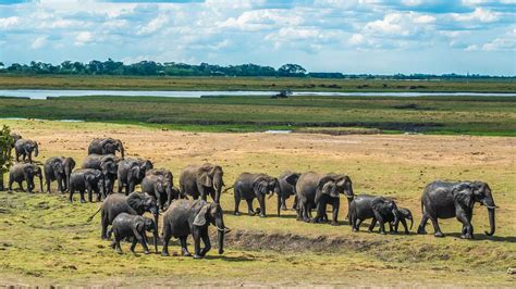 Chobe National Park Holidays Book For 2023 2024 Now Kuoni