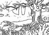 Coloring Forests sketch template