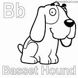 Basset Hound sketch template