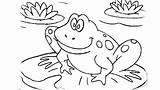 Coloring Pages Leapfrog Frog Leap Getcolorings Amphibian Animals sketch template