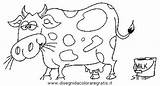 Mucca Mucche Toro Disegno Animali 1593 Stampare Disegnidacoloraregratis sketch template