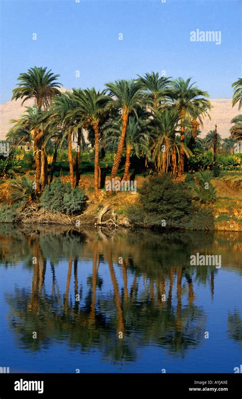 egypt river nile   dandera stock photo alamy