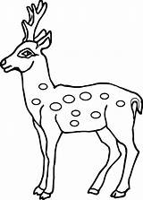 Deer Coloring Pages Baby Spotted Printable Antler Outline Drawing Reindeer Kids Face Head Cute Clipart Realistic Colouring Drawings Getcolorings Print sketch template