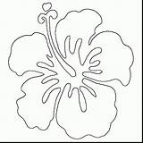 Flower Hawaii Drawing Getdrawings Hawaiian sketch template