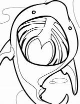 Shark Coloring Pages Mouth Basking Open Lip Lips Clipart Color Kissing Gloss Clipartbest Getcolorings Clipground sketch template