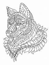 Coloring Pages Wolf Detailed Wolves Getcolorings Printable Print Color sketch template