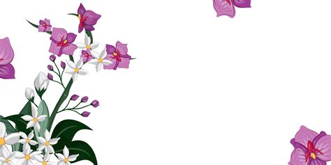 national orchid day vector illustration  copy space  text