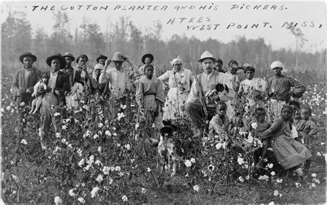 filecotton planter  pickersjpg wikipedia