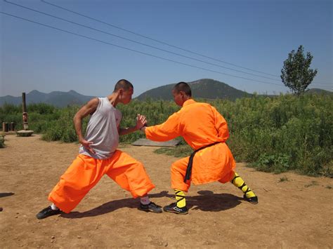 Black Dragon Ninjitsu Shaolin Kungfu Fighting Methods By