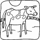 Cows Coloring Kids Fun Pages sketch template