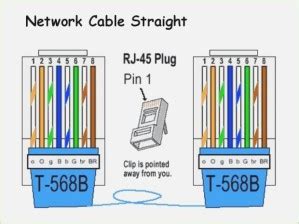 cat  wiring diagram emejing ethernet cable wire gallery  cat tehama group