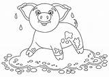Mud Puddle Piggy Pages Grappige Colourbox Vulklei Leugens Varken Glimlachen Lustige Stellung Kleurende Boekpagina sketch template