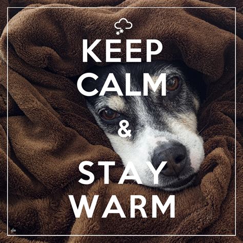 ways  stay warm  increasing  heating bill pangea real estate blog