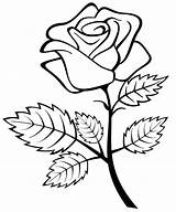 Rose Dying Drawing Getdrawings Coloring sketch template