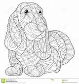 Hond Kleurende Volwassen sketch template