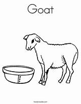 Coloring Goat Pages Boer Feed Worksheet Did Color Sheep Getcolorings Noodle Outline Built California Usa Twistynoodle Printable sketch template