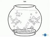 Coloring Pages Tank Fish Whith Fishes Cat Kids Popular sketch template
