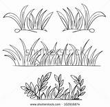 Grass Coloring Outline Pages Clipart Outlines Vector Sketch Plant Illustration Drawing Green Color Eps Portfolio Format Also Available Drawings Printable sketch template