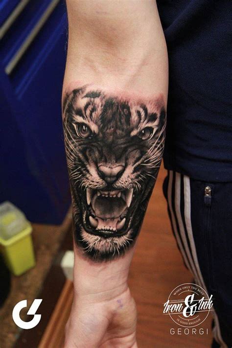 Black And Grey Style Tiger Tattoo On The Right Forearm
