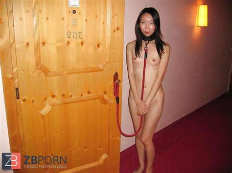 chinese bitch drecksau zhi zb porn