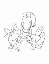 Pokemon Coloring Pages Mudkip Advanced Torchic Color Colouring Printable Sheets Torch Print Mud Truck Getcolorings Groups Silhouette Olympic Tv Series sketch template