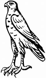 Hawk Heraldry Peregrine Prey Beak Heraldic Heraldicart Faucon Hiclipart sketch template